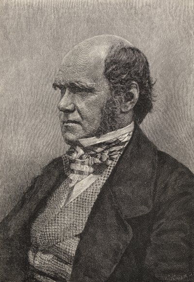Charles Darwin aged 45, illustration from 